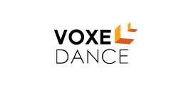 e plus 3d partner voxeldance