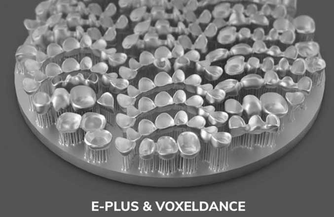 Professional Software Solutions for Dental Applications Eplus3D & Voxeldance