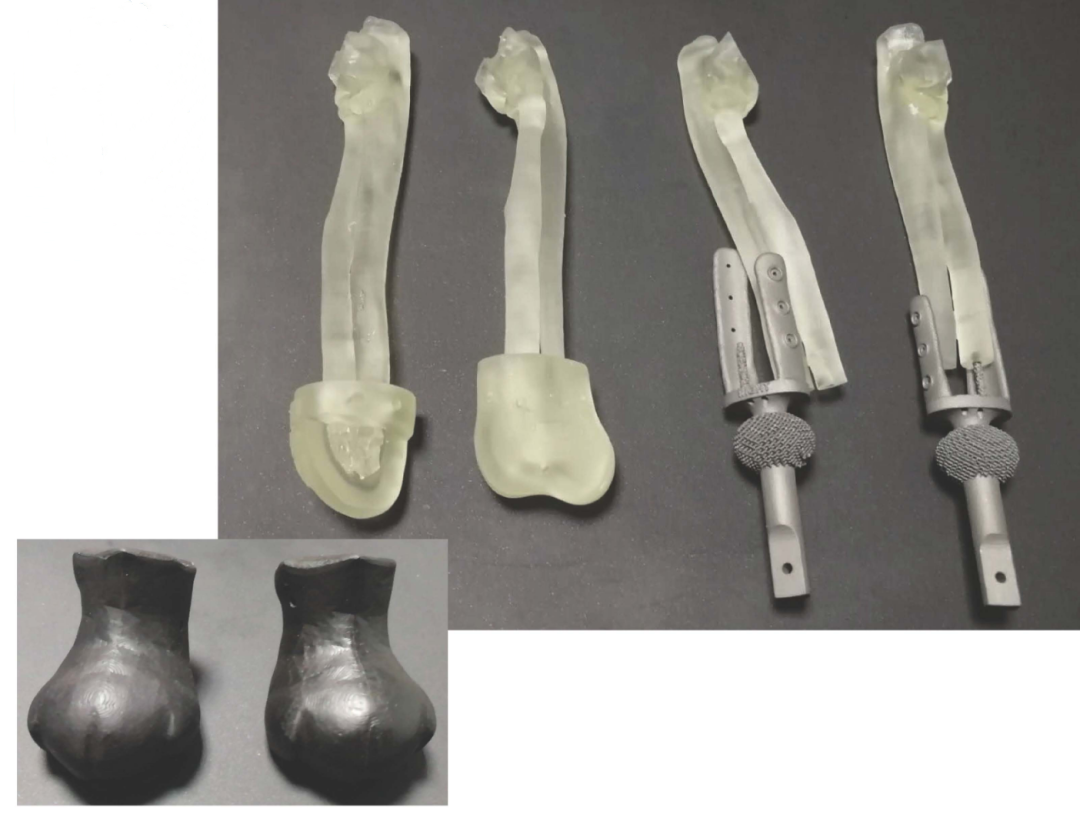 Application Story | Cat walks again thanks to 3D-printed Titanium Prosthetic Limbs