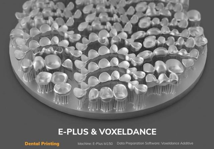 Professional Software Solutions for Dental Applications Eplus3D & Voxeldance